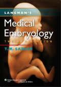 Langman’s medical embryology (Kebidanan)