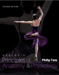 Seeley's Principles of Anatomy and Physiology (Kebidanan)