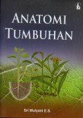 Anatomi Tumbuhan